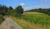 Tocht Stappen Froidchapelle - Balade au Lac de l'Eau d'Heure - Photo 1