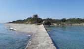 Excursión Senderismo Aléria - mer-etang de diane aleria - Photo 6