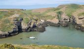 Excursión Senderismo Sauzon - Belle île les Poulains grand phare 18 mai 2022 CA  - Photo 8