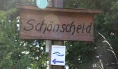 Trail On foot Bad Endbach - Extratour Viertälerweg - Photo 4