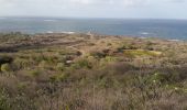 Randonnée Marche Le Marin - cap macré par les mornes - Photo 2