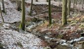 Trail Walking Spa - Berinszenne 10 KM - Photo 8