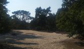 Trail Walking Kalmthout - Kalmthoutse Heide - Photo 9