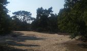 Tour Wandern Kalmthout - Kalmthoutse Heide - Photo 9