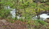 Tour Wandern Aubazines - Reco-Lac de Coiroux-2024-04-25 - Photo 14