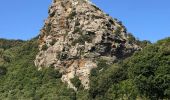 Tour Wandern Pino - Randonnée Cap Corse  - Photo 1