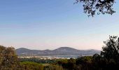 Trail Mountain bike Ramatuelle - VTT Mataranne - Paillas - Gassin - St Tropez - Photo 13