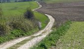 Randonnée Marche Gerpinnes - Froidure ensoleillée  - Photo 3