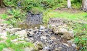 Tocht Te voet Eden - Aira Force and Gowbarrow Trail - Photo 10