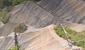 Excursión Senderismo Rosières - Ravin de Corboeuf - Photo 1