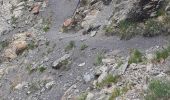 Trail Walking Névache - Nevache font couverte cols : Buffet et roches noires - Photo 3