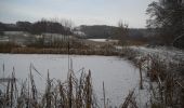 Randonnée A pied Eggolsheim - Rundweg Waldlehrpfad Serlbach - Photo 8