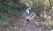 Trail Walking Curienne - mt st michel - Photo 8