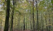 Randonnée  Saint-Léger - Châtillon  - Photo 1