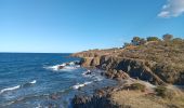 Trail Walking Argelès-sur-Mer - argeles - collioure / retour par la mer  - Photo 4