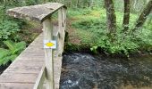 Trail Walking Bad Wildbad - Kleinenzhof forellenpark - Photo 3
