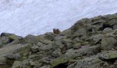 Randonnée Marche Saint-Sorlin-d'Arves - la croix de fer - Photo 8