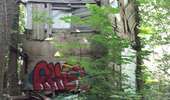 Randonnée Marche Magny-les-Hameaux - bois des roches - Photo 12