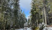 Trail Walking Cornimont - Col du Brabant - croix Louis par Mansuy et Boulaite - Photo 8