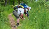 Randonnée Marche Flassans-sur-Issole - Boucle autour de Flassans-sur-Issole - Photo 19