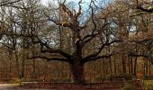 Tour Zu Fuß Montgeron - forêt de Sénart à Brunoy - Photo 1