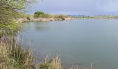 Randonnée Marche Fréjus - etangs de villepey et collines - Photo 3