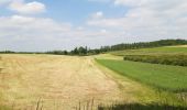 Trail Walking Huldenberg - petite rando autour du kinderveld  - Photo 9