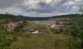 Tour Wandern Maastricht - autour de la carrière Montagne St Pierre  - Photo 5