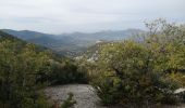 Tour Wandern Beaumont-du-Ventoux - le sommet de la plate - Photo 3