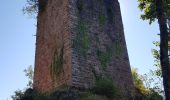 Trail Walking Oberhaslach - Cascade et château du Nideck - petit tour - Photo 4