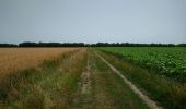 Tour Wandern Monts - Monts - la Horaie Circuit avec routes - 16.6km 130m 3h40 - 2022 06 16 - Photo 2