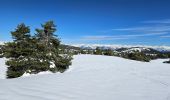 Randonnée Ski de fond Gréolières - Greolière  les neiges Chalet du fondeur - Photo 1