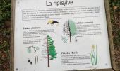 Percorso Marcia Fréjus - z les étangs de Villepey 18-12-18 - Photo 6