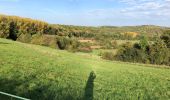 Excursión Senderismo Virton - La Charmouthienne_boucle_Ethe_15km_2019-10-13 - Photo 20