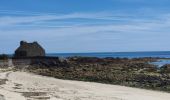 Tocht Stappen La Trinité-sur-Mer - La Trinité-sur-mer - Photo 1