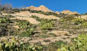 Excursión Senderismo Ramatuelle - l'Escalet Cap Taillat - Photo 19