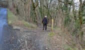 Trail Walking Coursac - boucle du rosier marche bleue - Photo 10