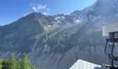 Trail Walking Chamonix-Mont-Blanc - Chamonix : Montenvers-Aiguille du Midi - Photo 1