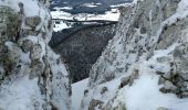 Tocht Sneeuwschoenen Sainte-Croix - Col des Etroits Le Chasseron CAF - Photo 10