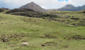 Tocht Te voet Unknown - Out-and-back walk to Harris from Kinloch - Photo 1