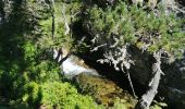 Percorso Marcia Arrens-Marsous - refuge larribet par lac suyen - Photo 12