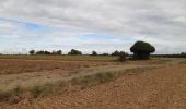 Tour Wandern Esneux - arboretum . pisserotte . anc carrière . targnon . villers aux tours . chapelle simon . arboretum - Photo 5