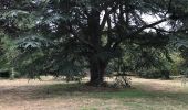 Percorso Altra attività Le Chesnay-Rocquencourt - Arboretum de Chevreloup - Photo 1