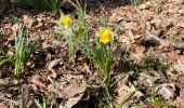 Randonnée Marche Nivelles - BE-Nivelles - Promenade des Tchambourées (courte) - Photo 9