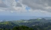 Tocht Stappen Gros-Morne - Fond St Denis-morne  bellevue-perou-morne bellevue- Fond St Denis   - Photo 3