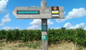 Tour Wandern Chavanay - bessey - Photo 4