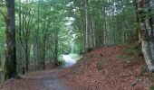 Tour Wandern Sixt-Fer-à-Cheval - cirsue du fer à cheval jusqu´au bout du monde . montée rive gauche, descente rive droite  - Photo 11