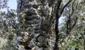 Tour Wandern Solliès-Toucas - Arche de la Garoute - Photo 8