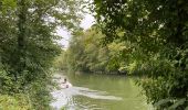 Tour Wandern Dinant - Falmagne - Photo 12