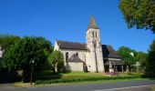 Trail Walking Saint-Germain-sur-Vienne - Saint-Germain-sur-Vienne - Zig zag GR3 Fontevraud-l'Abbaye - 20km 350m 4h50 (45mn) - 2024 05 08 - Photo 1